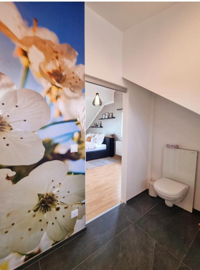 Ferienhaus Im Luftkurort Villa Schoemberg  Luaran gambar